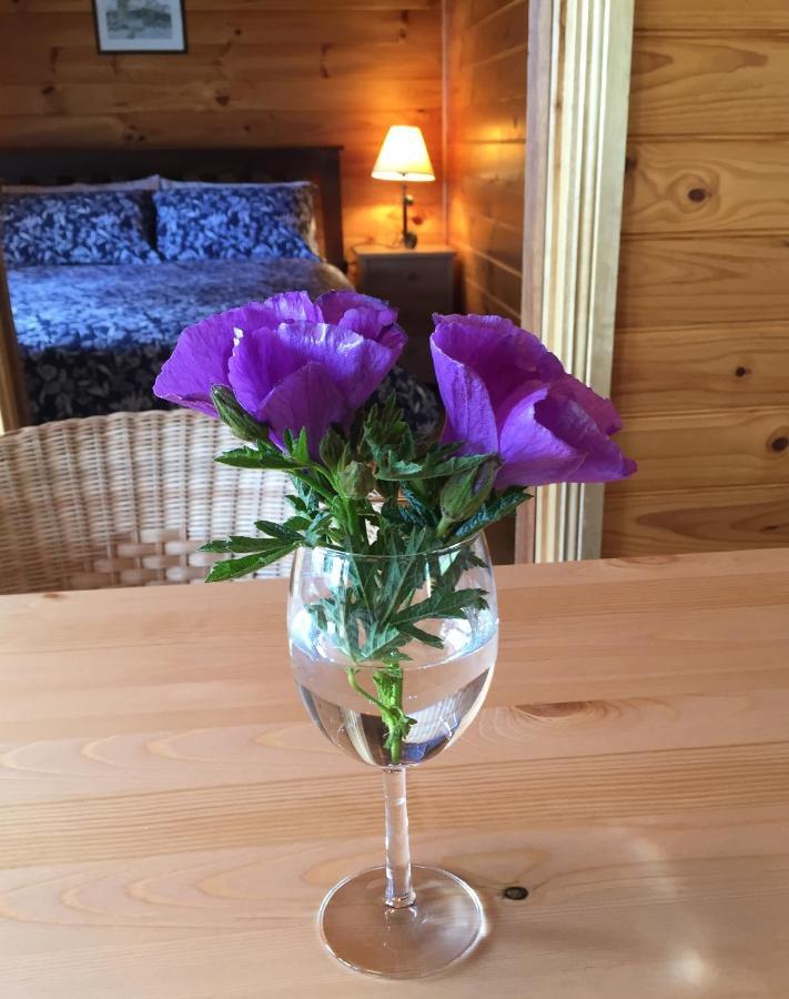 Bed and Breakfast Molly'S Chase Emu Flat Zewnętrze zdjęcie